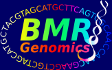 Logo BMR Genomics
